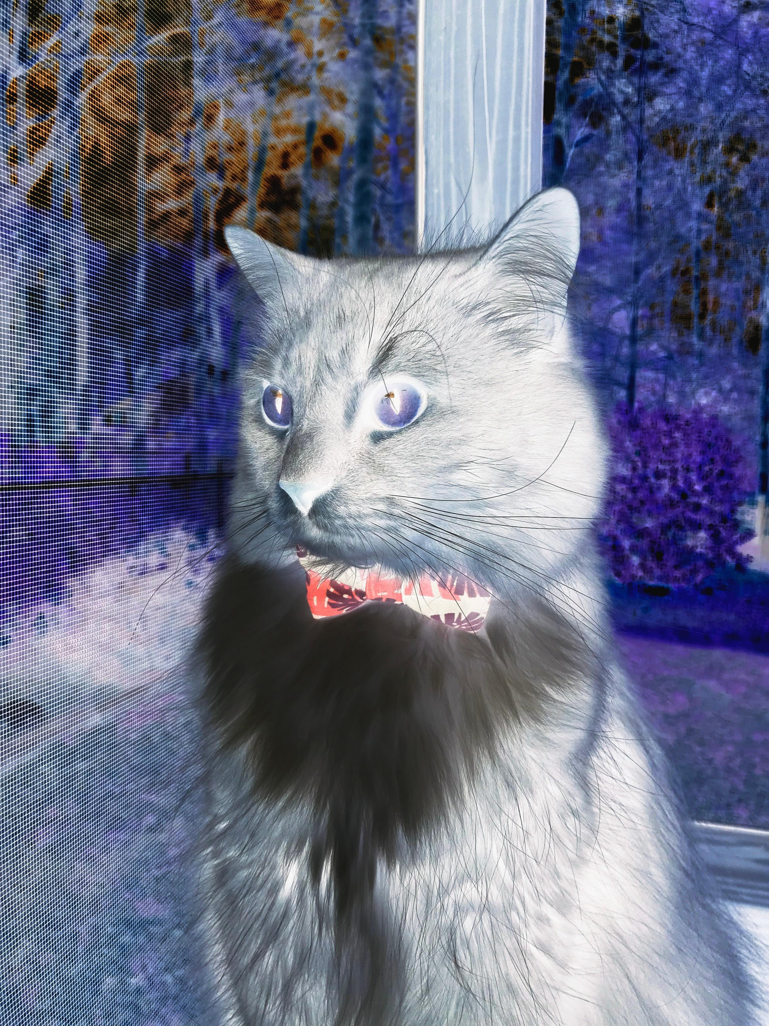 爱游戏体育（AYX）官方APP下载-令人惋惜的遗憾：欧冠中的“悬念瞬间”，欧冠精彩片段