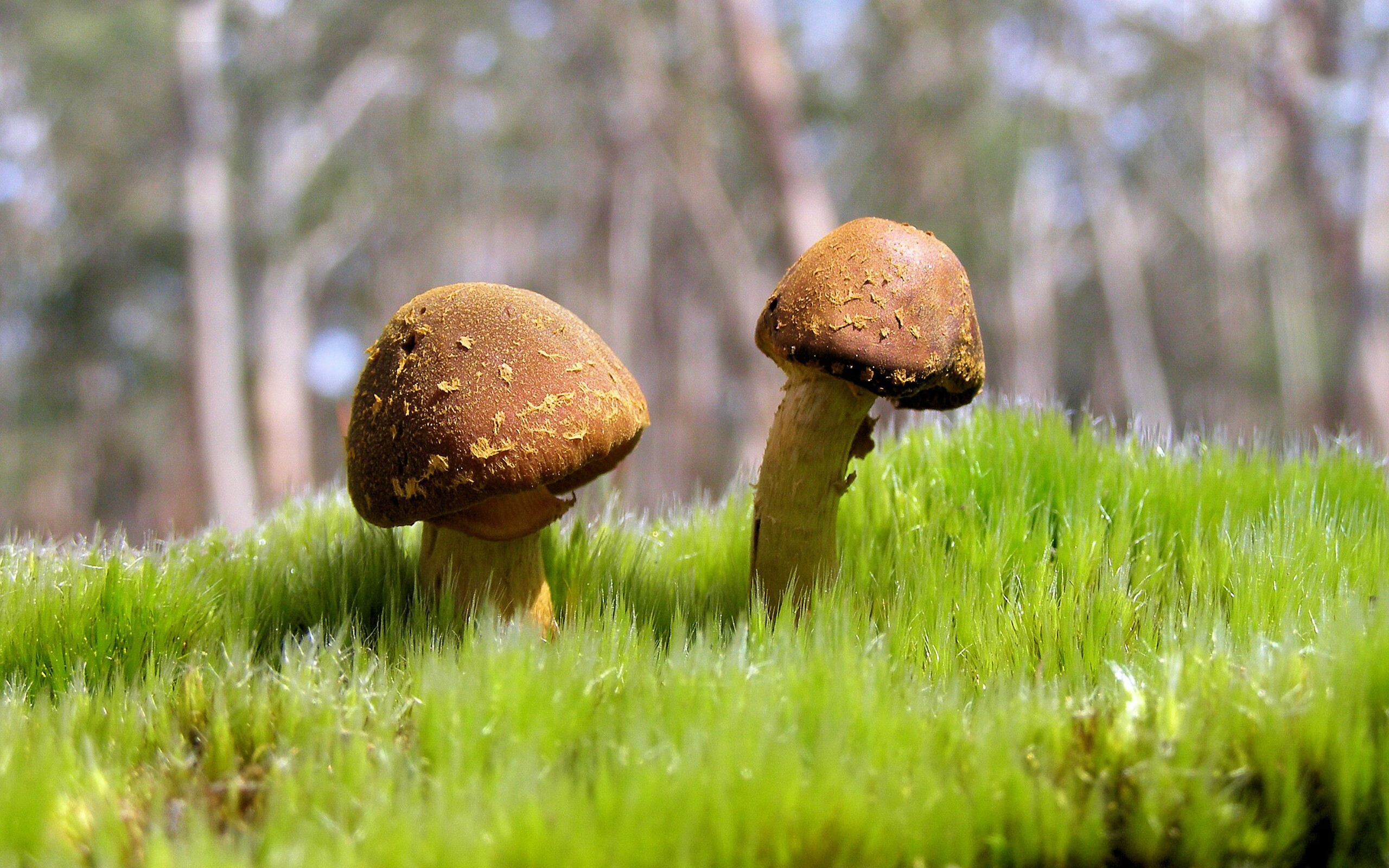 爱游互娱游戏官网-保罗乔治开启播客，揭秘NBA更衣室秘辛，保罗乔治换号码的原因